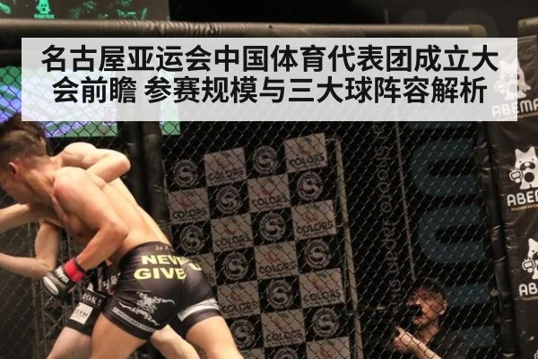 名古屋亚运会中国体育代表团成立大会前瞻 参赛规模与三大球阵容解析